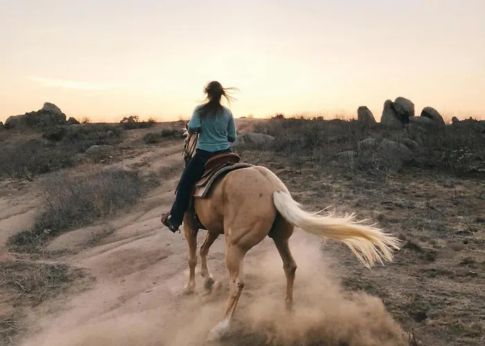 Appartement Mariposa El Médano