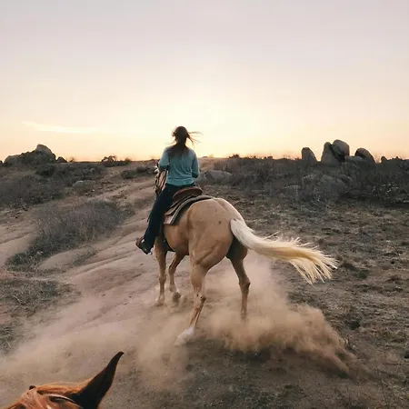 شقة Mariposa El Médano
